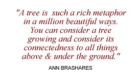 tree analogy